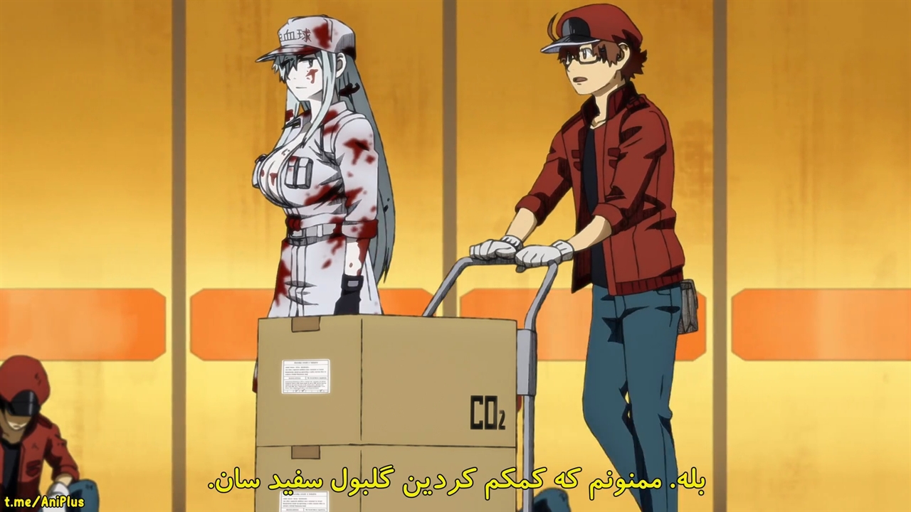 Cells at Work!!